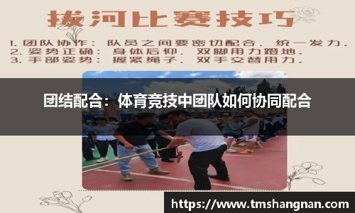 乐发Vl