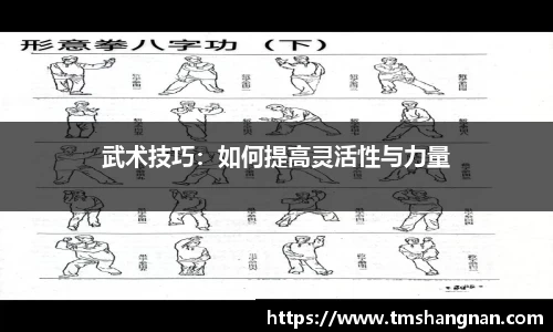 乐发Vl平台