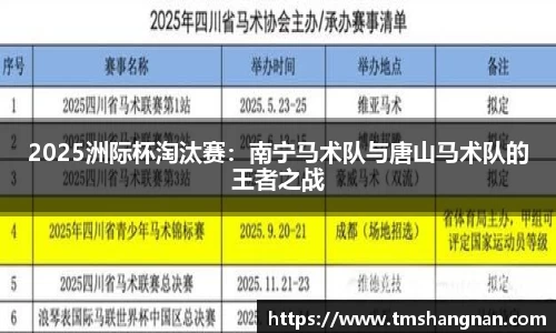 2025洲际杯淘汰赛：南宁马术队与唐山马术队的王者之战