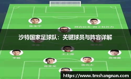 沙特国家足球队：关键球员与阵容详解