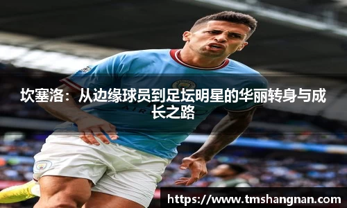 乐发Vl平台